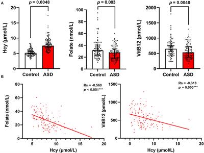 Interrelation between homocysteine metabolism and the development of autism spectrum disorder in children
